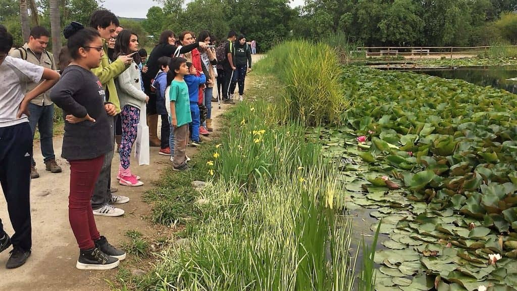 Niños de Teletón recorrieron el Jardín Botánico junto a científicos UTALCA