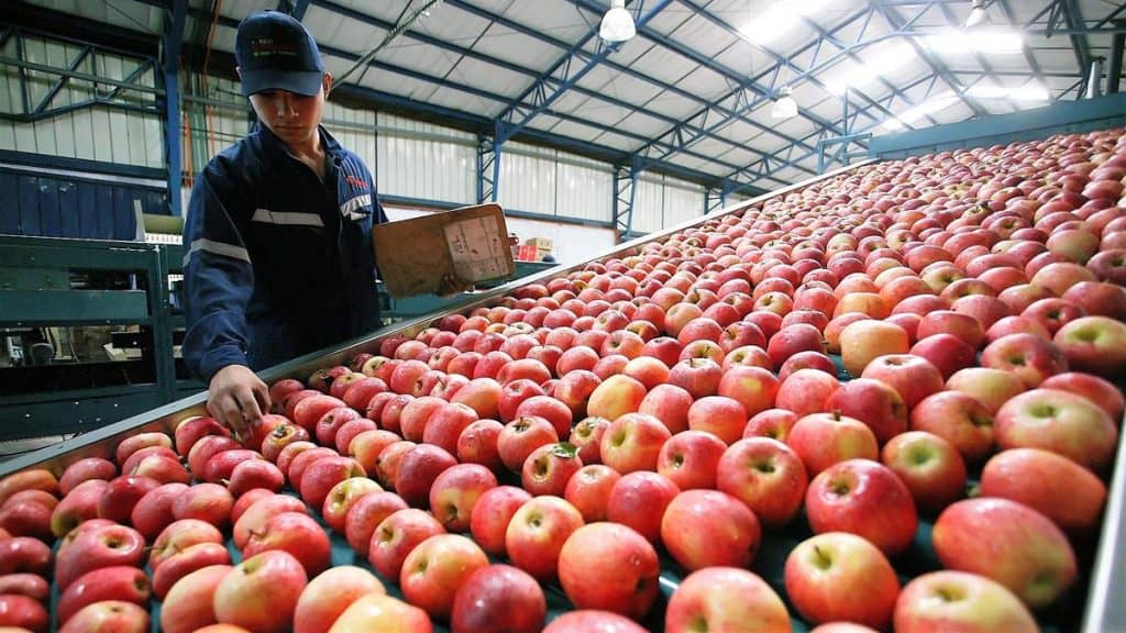 Centro de Logística de la UTALCA superó meta de empresas intervenidas