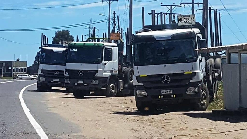 Arauco llama a licitación que reactiven sus plantas