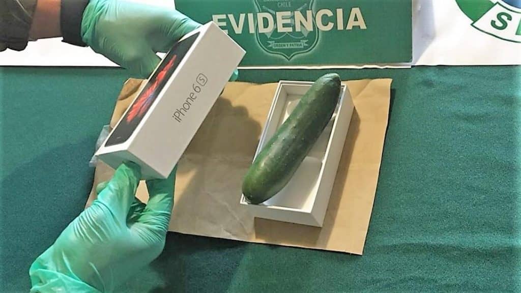 [VIDEO] Compró un celular y recibió un pepino dentro de la caja