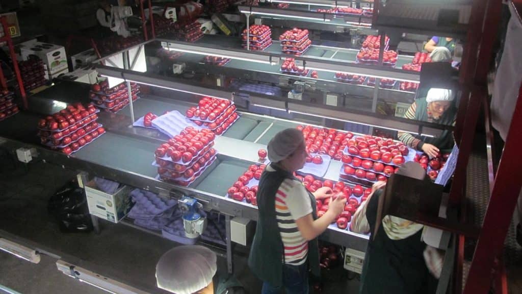 38 centros de atención funcionan por temporada agrícola