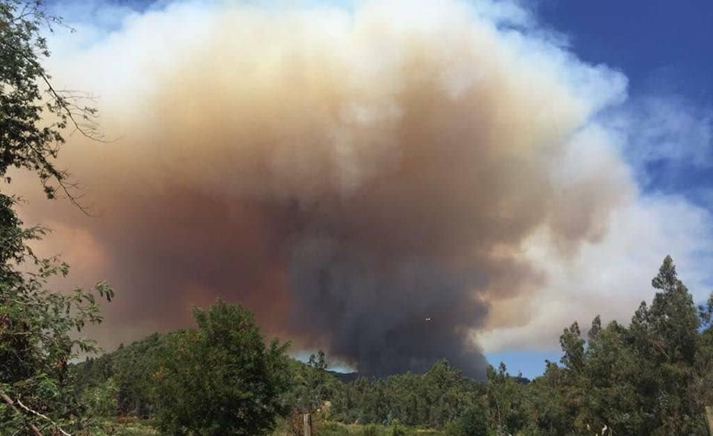 Incendio forestal sigue fuera de control en Romeral
