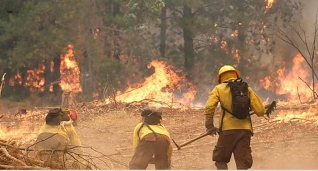 ONEMI amplía alerta por incendios forestales en Linares