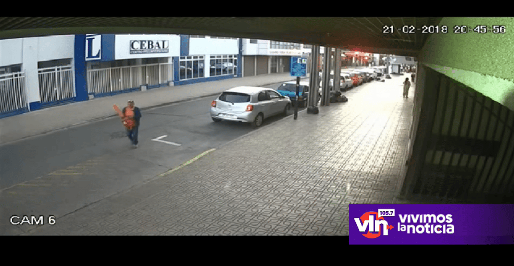 Delincuente robó motosierra desde interior de un automóvil