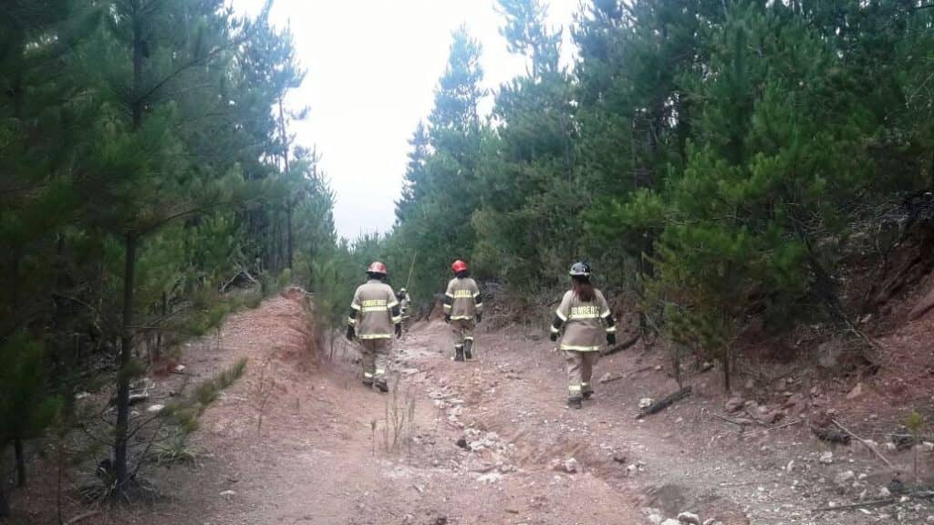 Intenso operativo de búsqueda de mujer perdida en cerros de Sagrada Familia