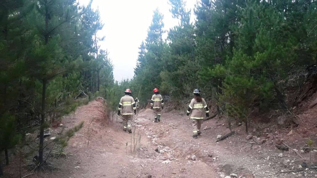 Carabineros ubica a siete personas con encargo por presunta desgracia en la región de O'Higgins