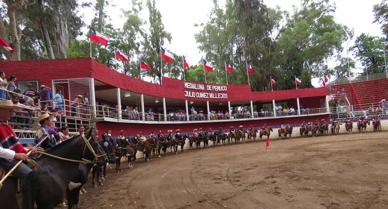 2 colleras curicanas clasificaron para el Nacional de Rodeo  a realizarse en Pemuco