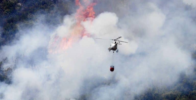 Onemi declara Alerta Amarilla en San Clemente por incendio forestal