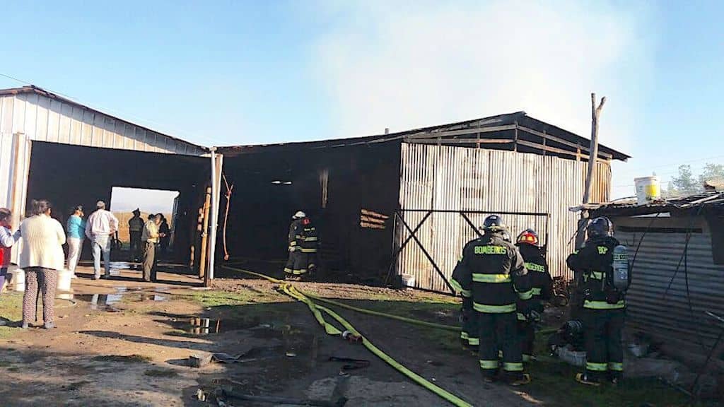 Incendio afectó planta de secado de ají en La Huerta de Mataquito