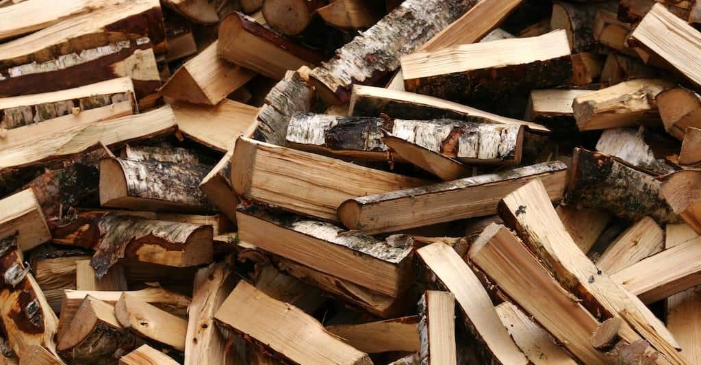 Especialistas enseñarán a reconocer leña certificada para no contaminar en invierno