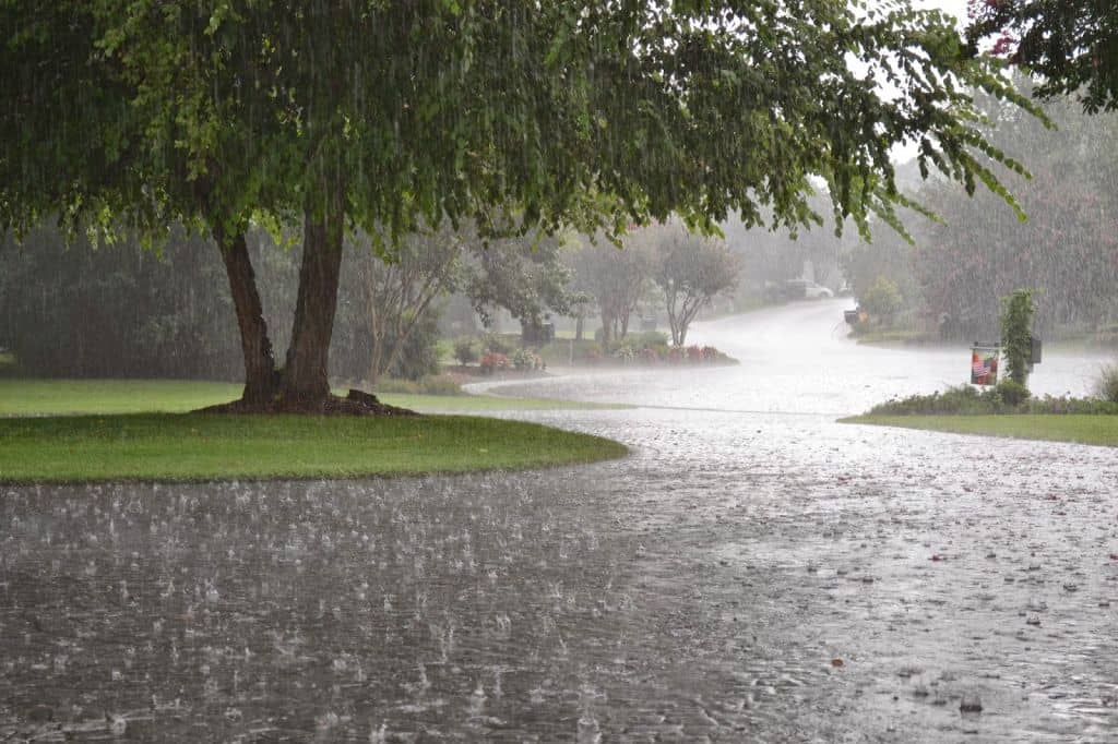 Meteorología anuncia lluvias moderadas para la próxima semana