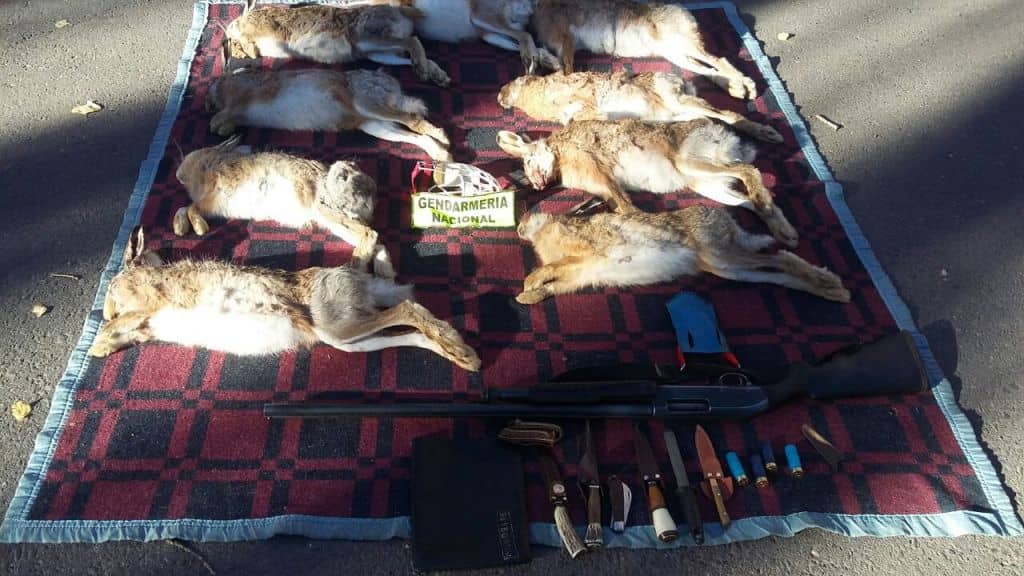 Grupo de cazadores curicanos siguen detenidos en Argentina