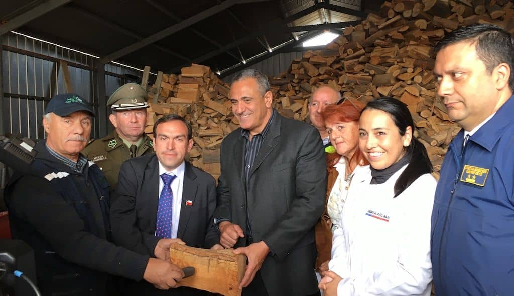 Anuncian fuerte fiscalización a comercialización clandestina de leña