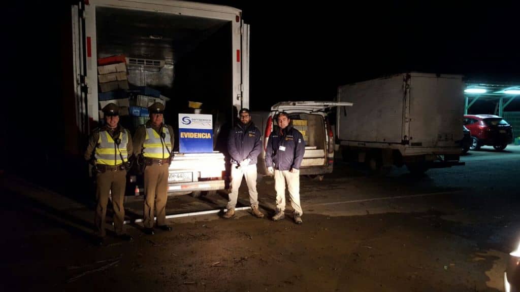 Sernapesca Maule ha incautado más de 15 toneladas de pesca ilegal en la región