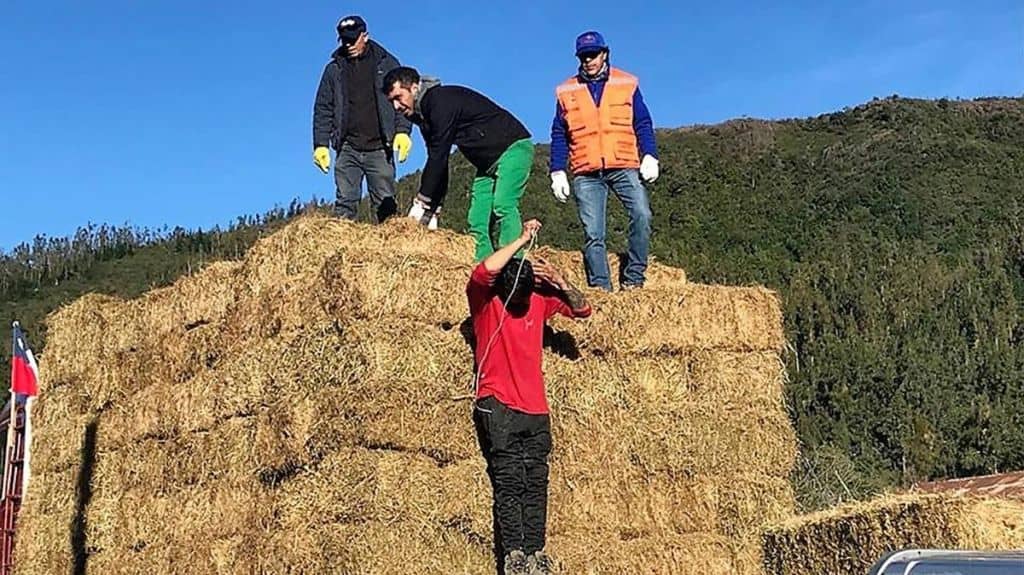 Entregan fardos de emergencia para crianceros de Romeral