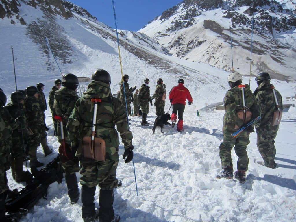 Ejército se sumó a búsqueda de excursionista extraviado en Radal