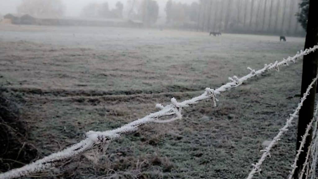 La temperatura más baja del invierno y cencelladas en Curicó