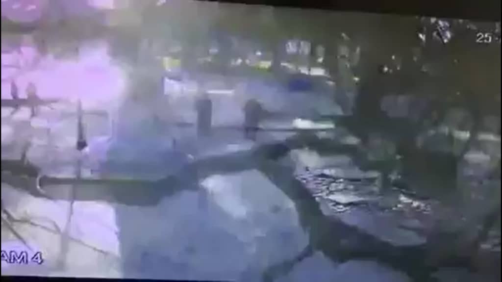 [VIDEO] Árbol cayó en plena plaza de armas de Molina