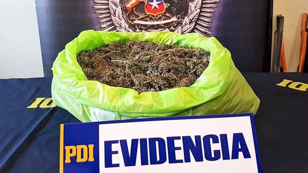 PDI detiene a sujeto que vendía marihuana en tienda comercial en Curicó