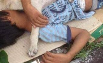 Hallan a hermanos de 6 y 8 años durmiendo rodeados de basura y perros en Maipú