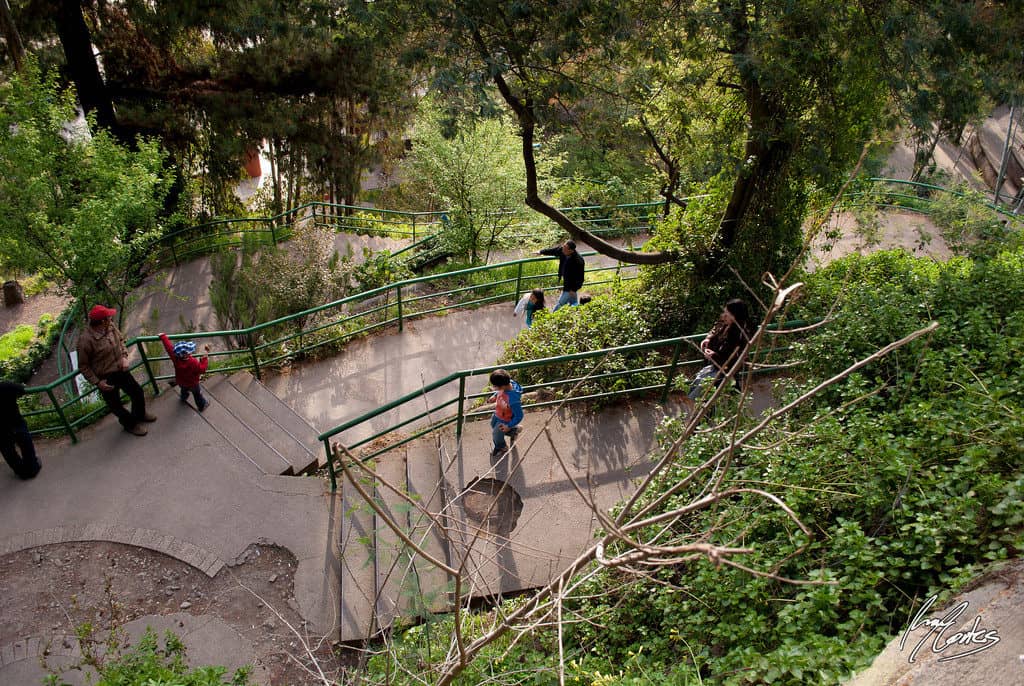 Plantearán discusión de medidas de seguridad para el cerro Condell