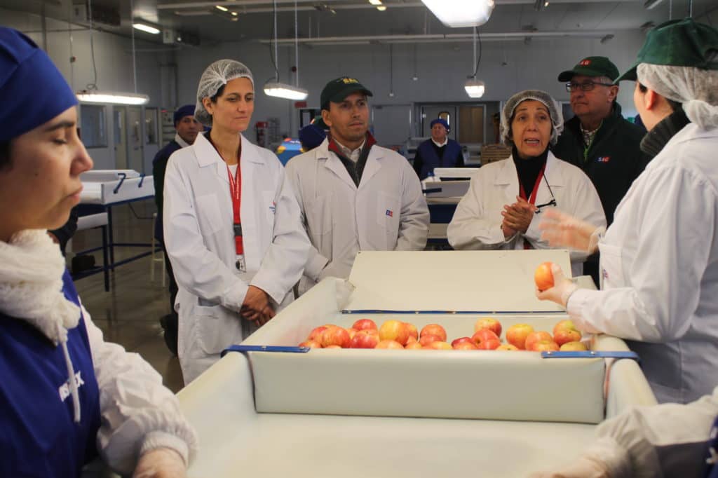 Finaliza temporada de exportaciones hortofrutícolas del Sitio de Inspección Fitosanitaria de Teno