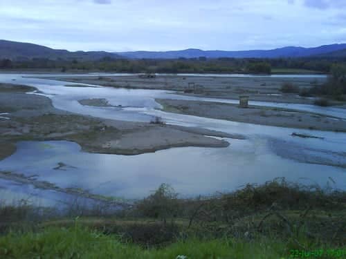 Cuatreros matan y faenan caballares cerca del río Mataquito