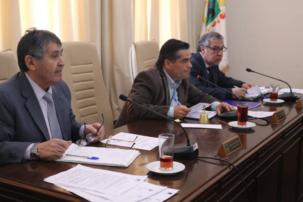 Aprueban microiniciativas “Curicó, cuida sus límites 2018”