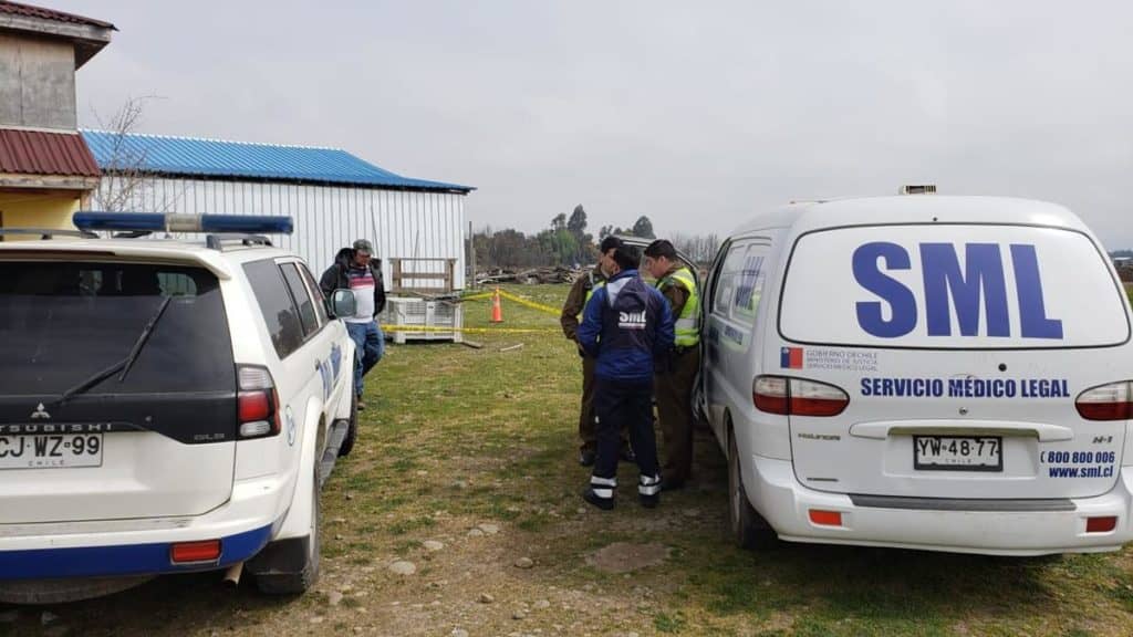Perro encontró feto en fundo de Curicó