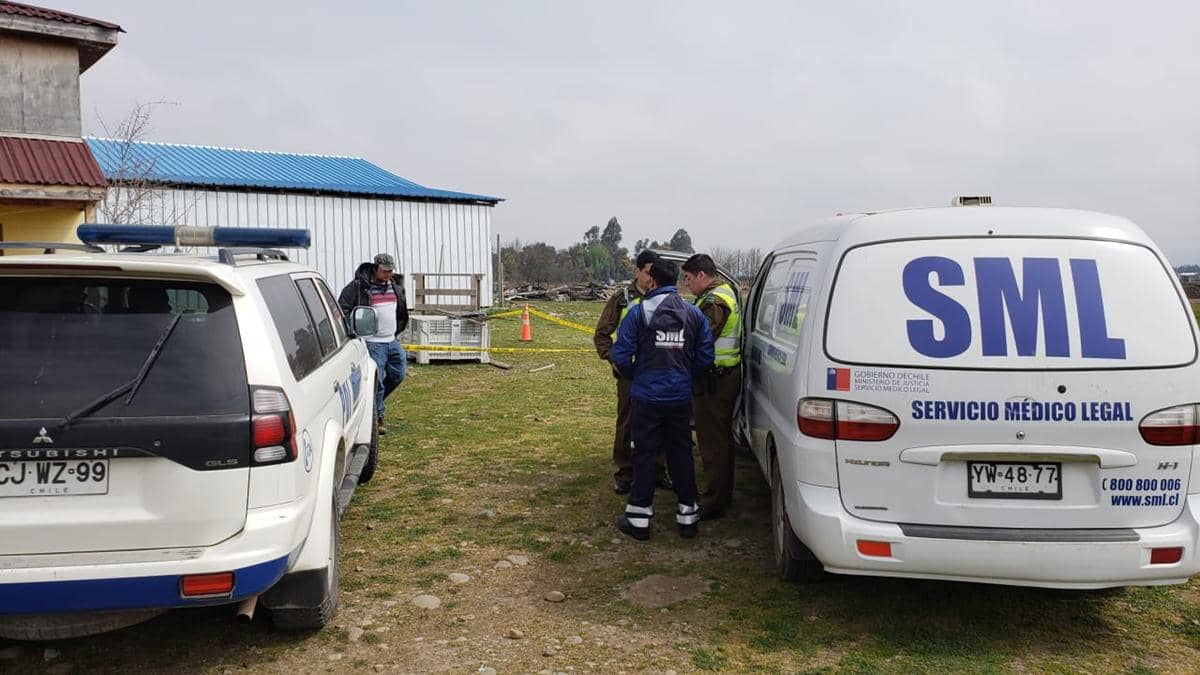Perro encontró feto en fundo de Curicó