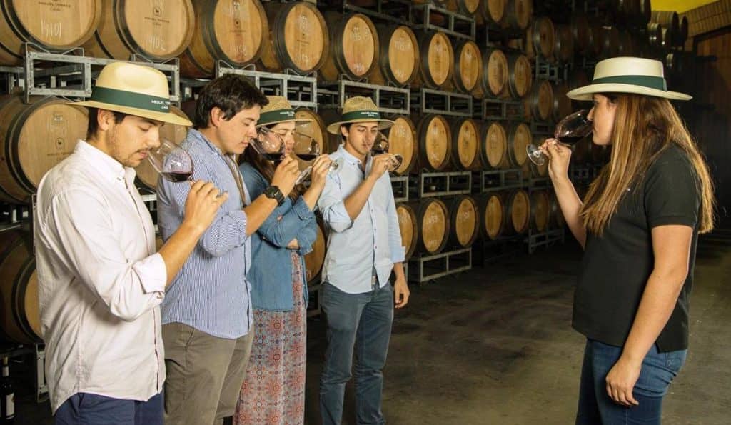 Miguel Torres celebra el mes de la Patria con tour de cepas patrimoniales