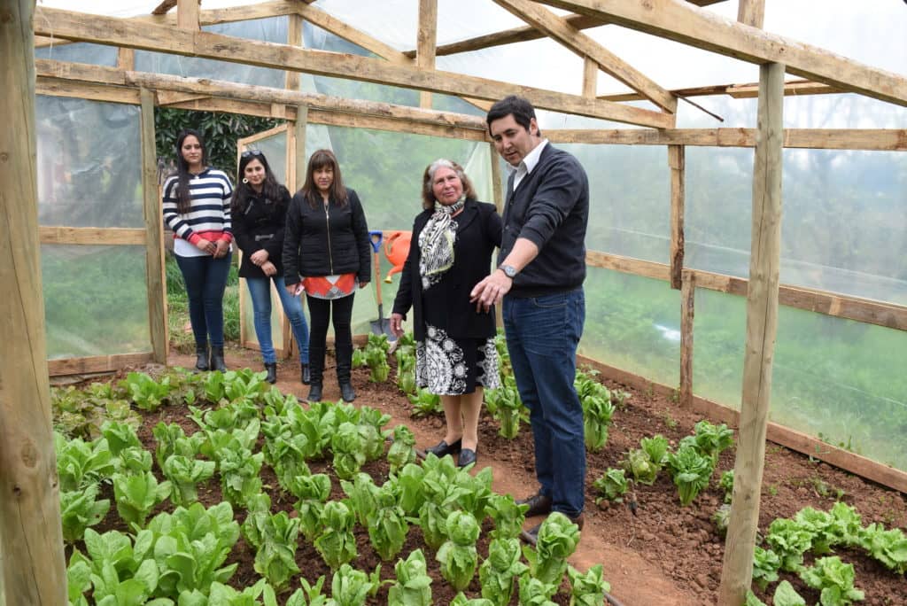 96 familias rurales de Cauquenes, Curepto y Molina aprobaron el Programa “Autoconsumo”