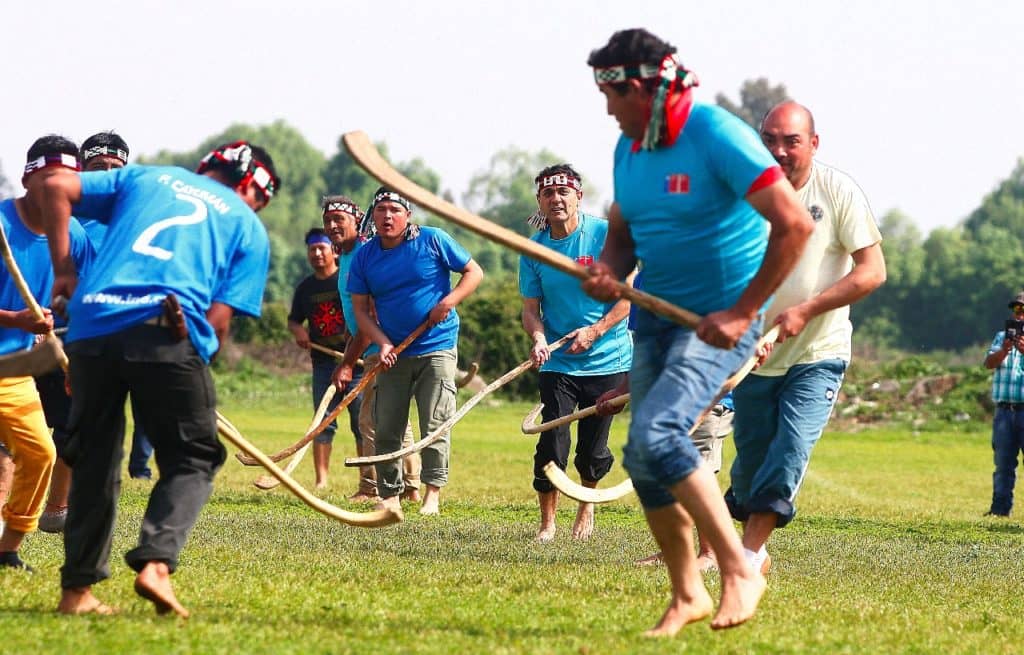 Delegaciones de la Provincia asistieron a Encuentro Mapuche de Palín en Curicó