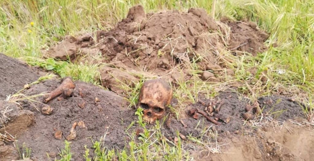 Osamentas humanas encontradas en Iloca movilizan a la policía