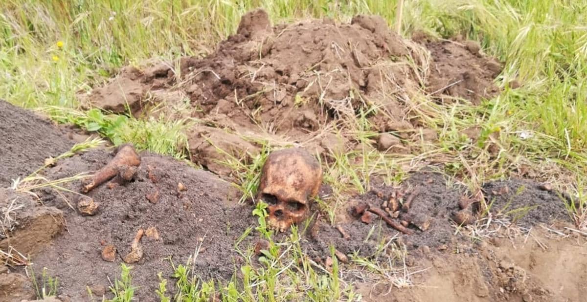Osamentas humanas encontradas en Iloca movilizan a la policía