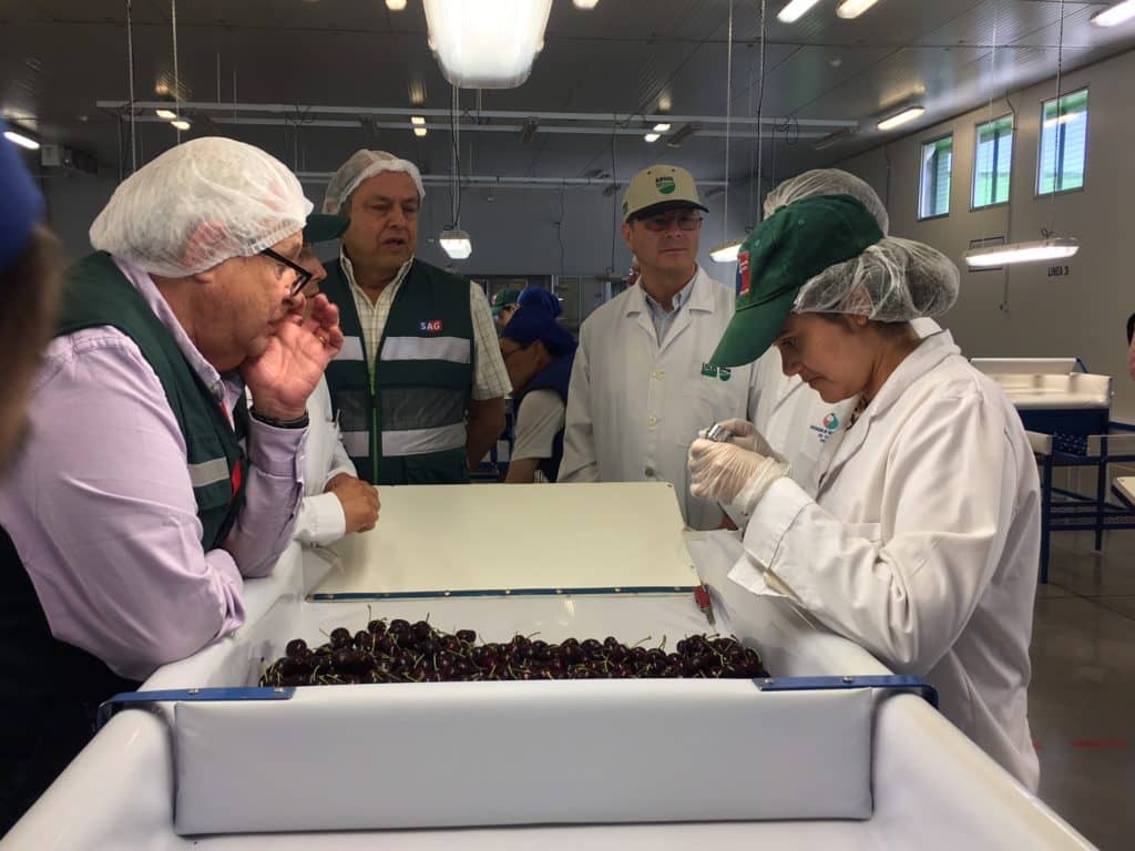 Sitio de Inspección fitosanitaria de Teno inició temporada 2018 - 2019