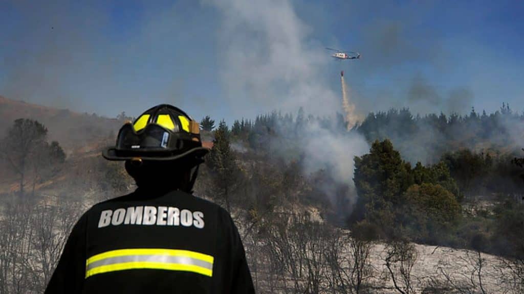 Detenido que provocó dos incendios forestales podría ser internado en hospital psiquiátrico