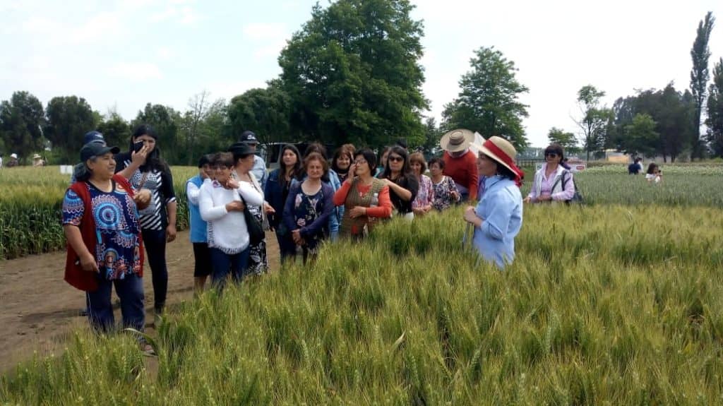 Agricultores de Rauco vivieron excelente experiencia en día de campo
