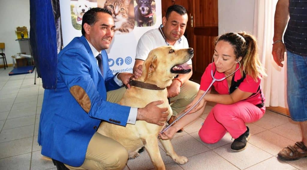 Sagrada Familia a la vanguardia en acciones para la tenencia responsable de mascotas