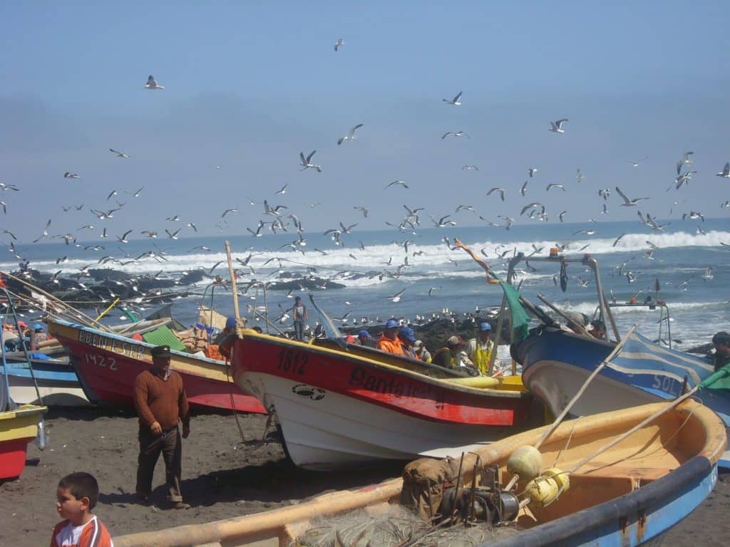 Colisión de embarcaciones en caleta de Duao deja a pescador lesionado