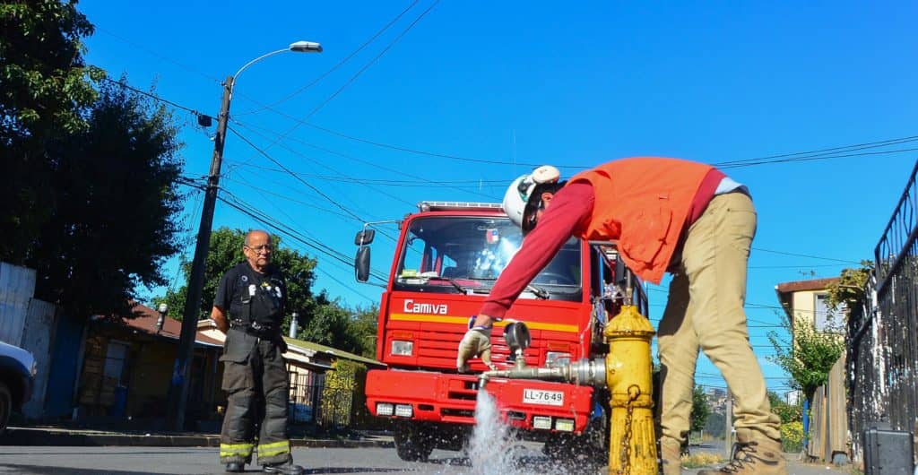 Nuevosur y autoridades curicanas hacen llamado a proteger los grifos