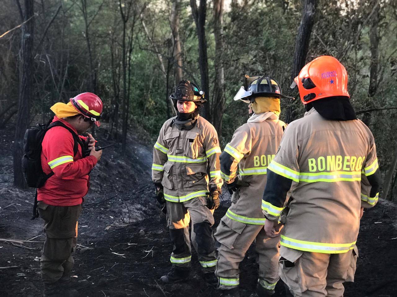 Se mantiene alerta roja por incendios forestales en Paredones