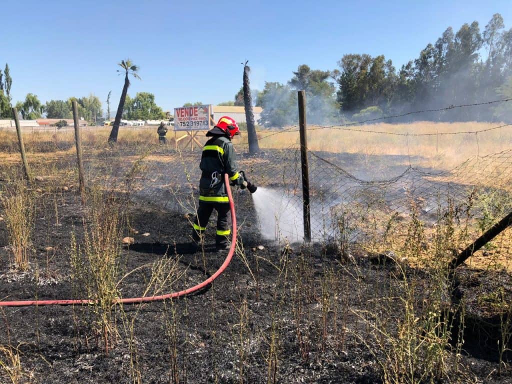 Accidente de tránsito provocó incendio de pastizales en camino a Zapallar