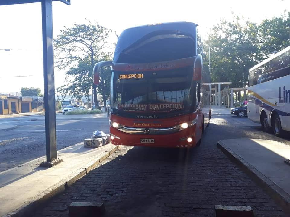 Buses Los Libertadores brinda a los curicanos su nueva ruta a Concepción