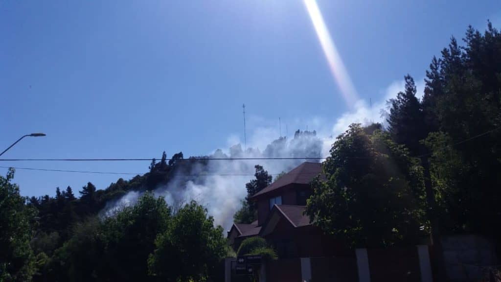 Bomberos de Curicó y CONAF extinguieron incendio en parque Cerro Carlos Condell