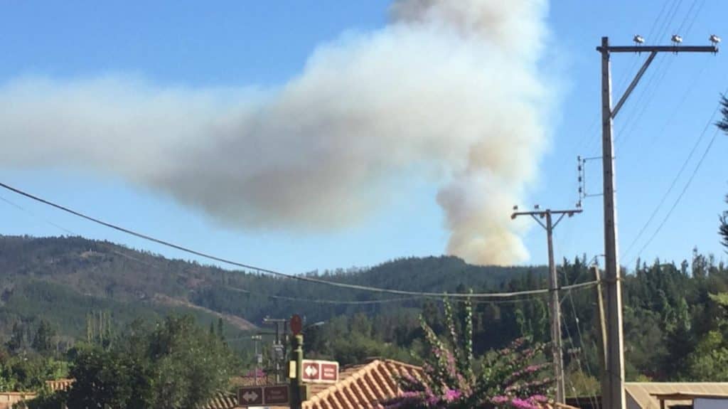 Preocupación por  descontrolado incendio forestal en Vichuquén
