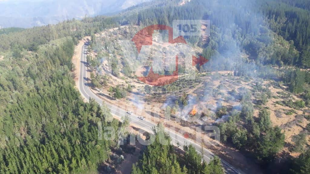 Trabajador fue detenido por incendio forestal en Vichuquén
