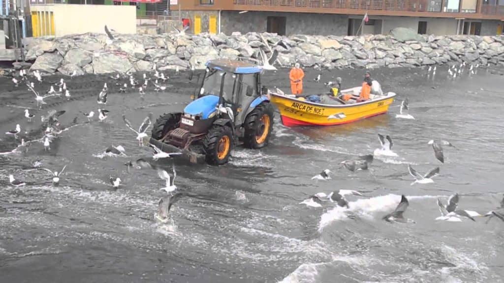 Hombre fue hallado muerto en la “caleta  Felipe Cubillos” de Duao