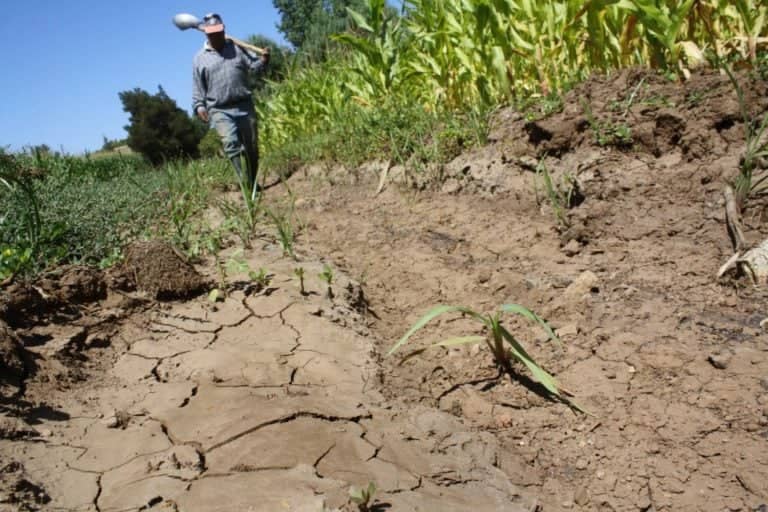 Crisis hídrica en el Maule: ¿Por qué la región sigue en peligro pese a los últimos sistemas frontales?