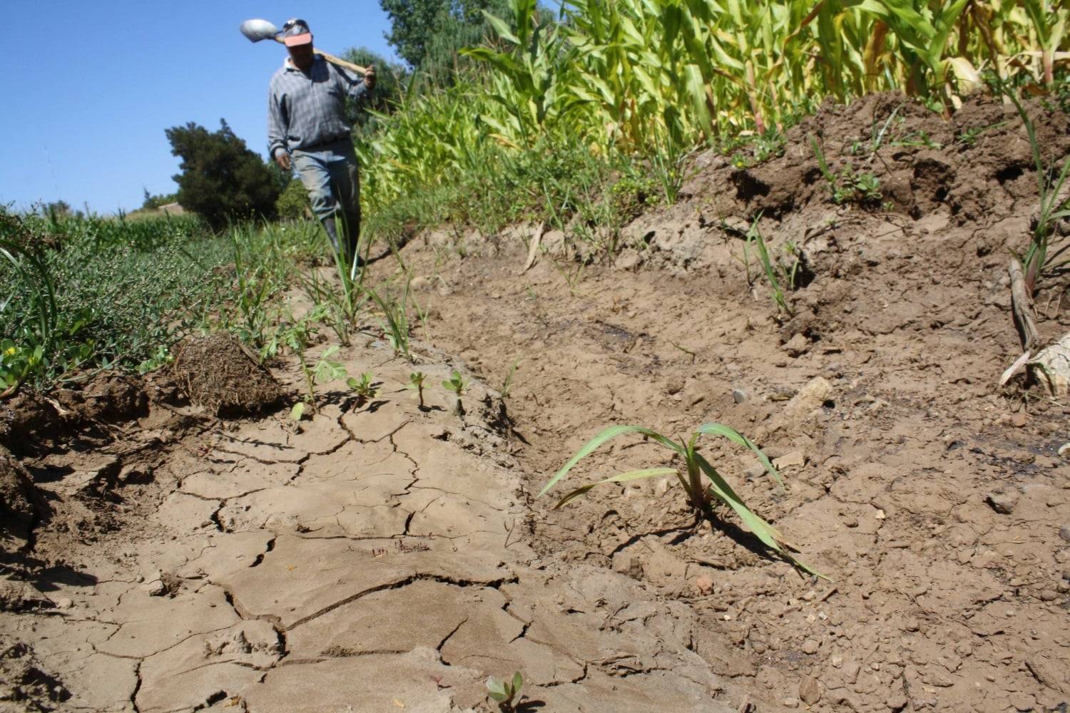 Junta de Vigilancia del Río Lontué criticó al Gobierno por reacción frente a la sequía en el Maule